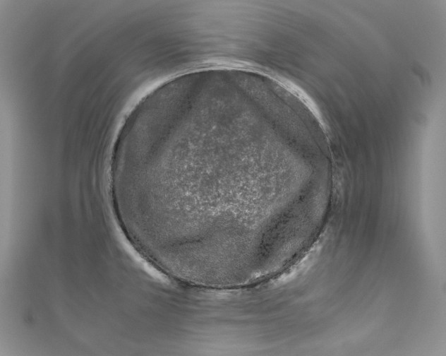 X0000111011381200907060947