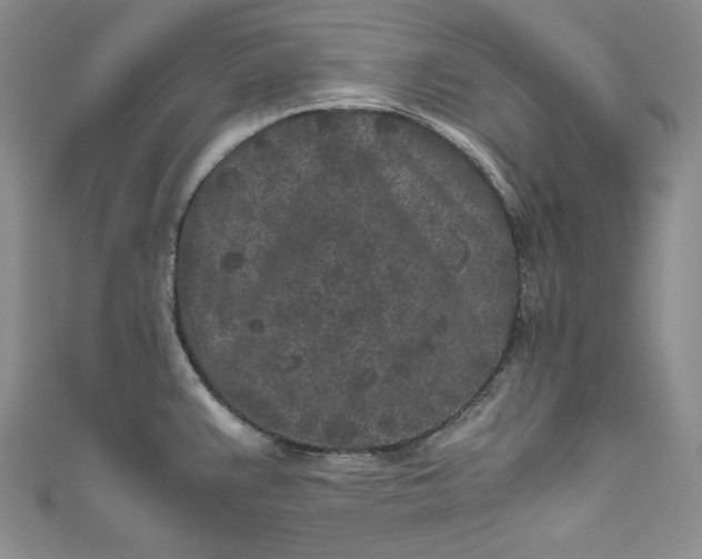X0000111011383200907060947