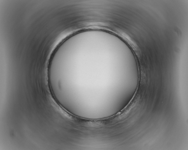 X0000111011384200907060946