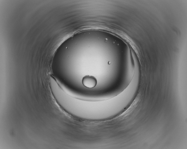 X0000111011385200907060946