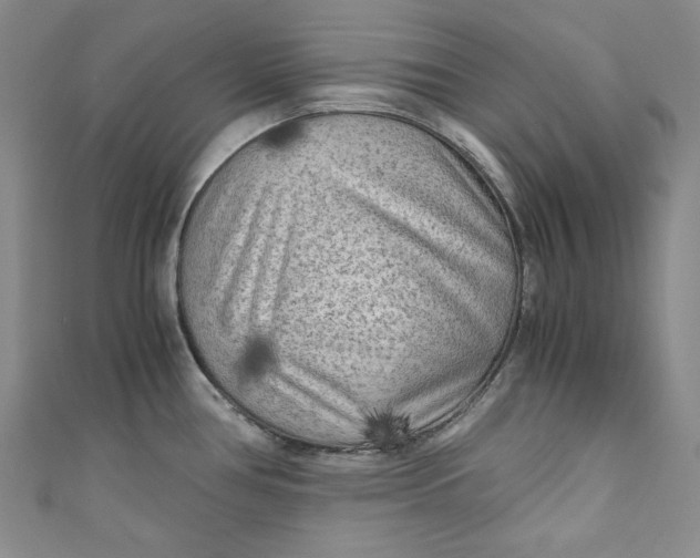 X0000111011386200907060946