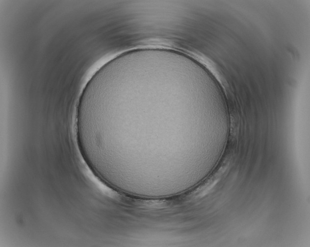 X0000111011387200907060946