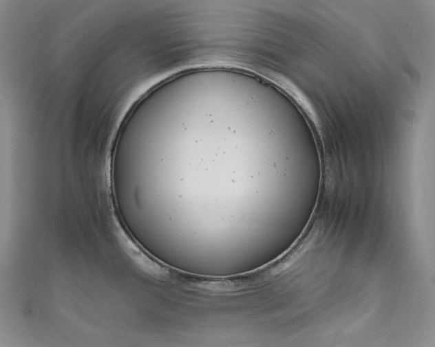 X0000111011388200907060946