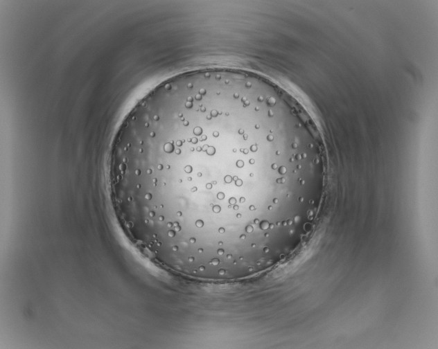X0000111011389200907060946