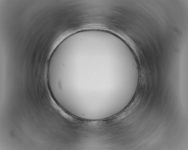 X0000111011390200907060946