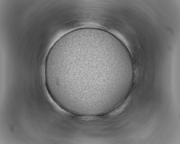 X0000111011391200907060946
