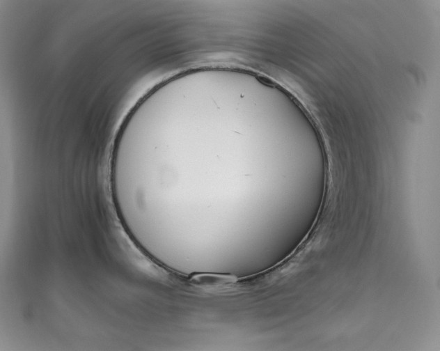 X0000111011392200907060946