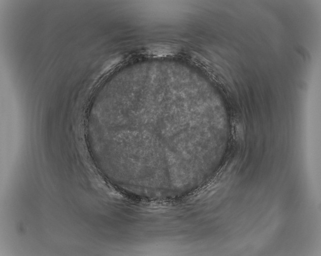 X0000111011393200907060946