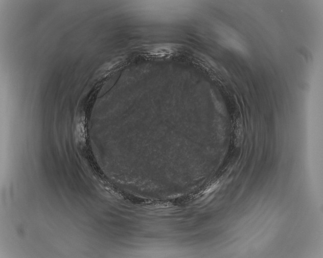 X0000111011394200907060946