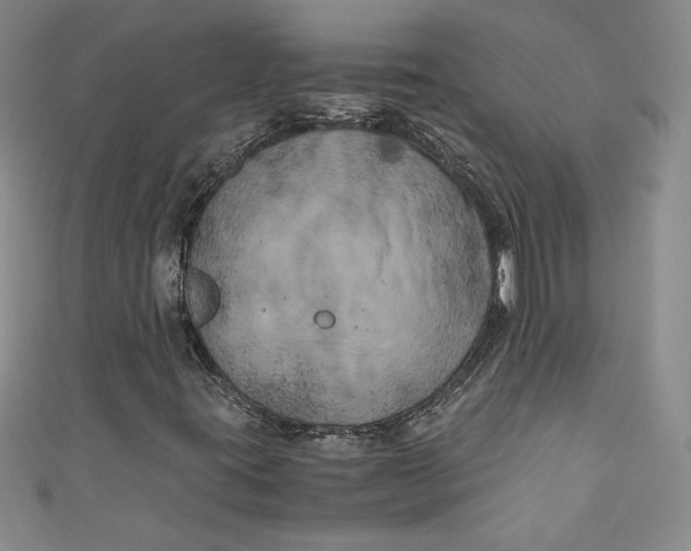 X0000111011395200907060946