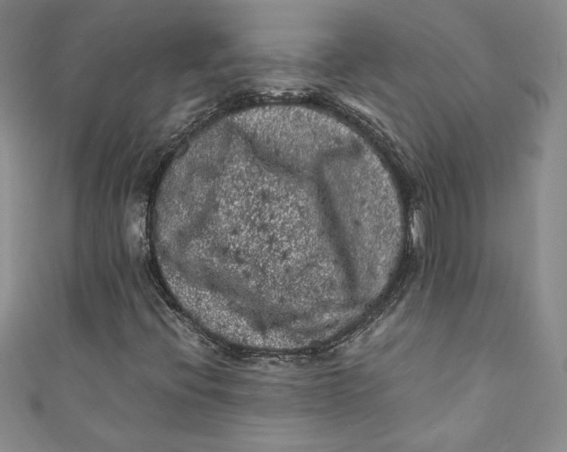 X0000111011396200907060946