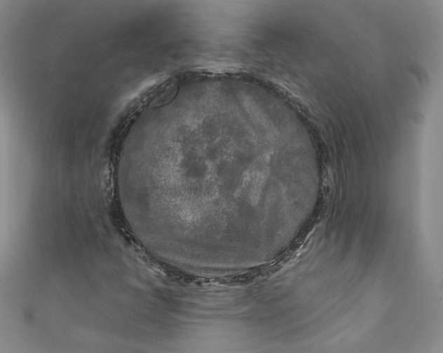 X0000111011398200907060946