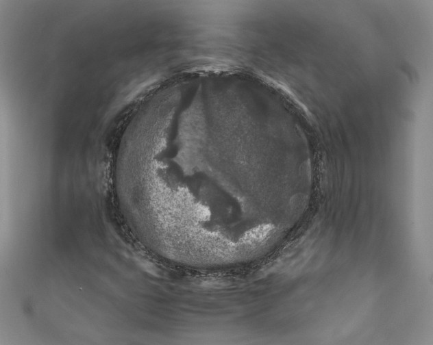 X0000111011399200907060946