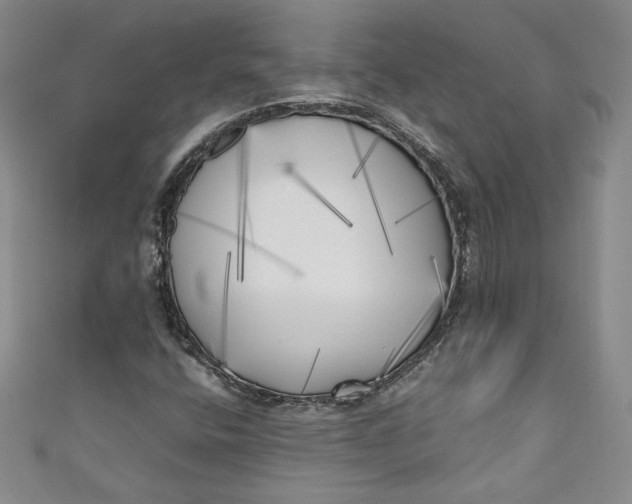 X0000111011400200907060946