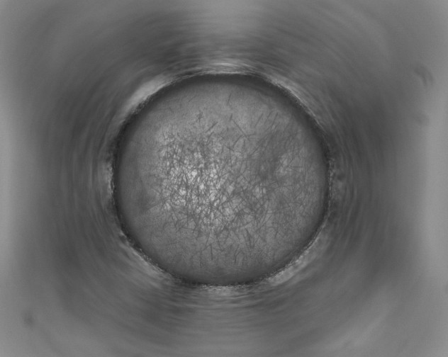 X0000111011402200907060946