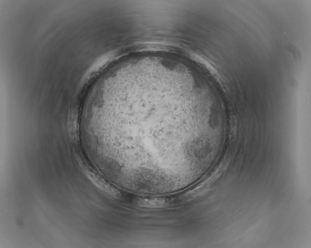 X0000111011403200907060946