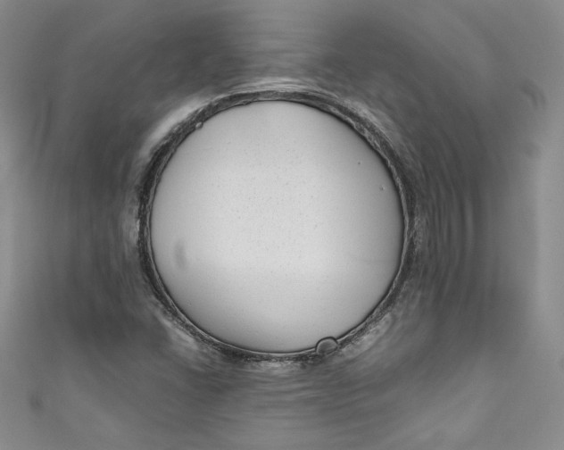 X0000111011406200907060946
