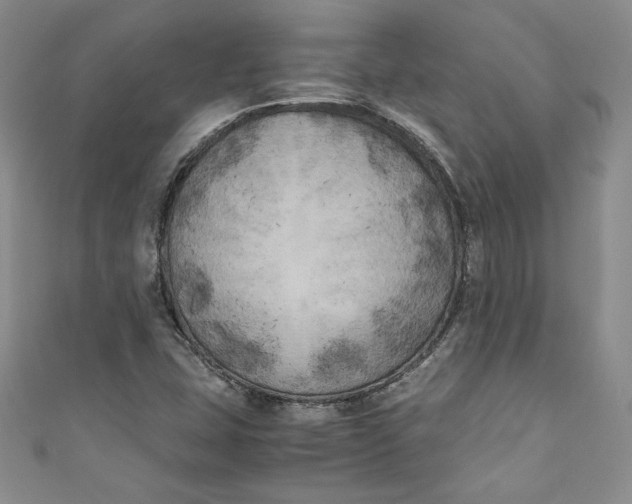 X0000111011407200907060946