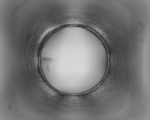 X0000111011408200907060946