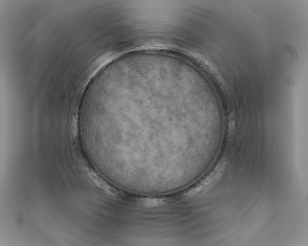 X0000111011409200907060946