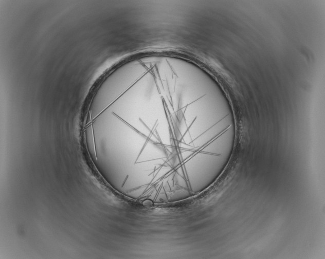 X0000111011412200907060946