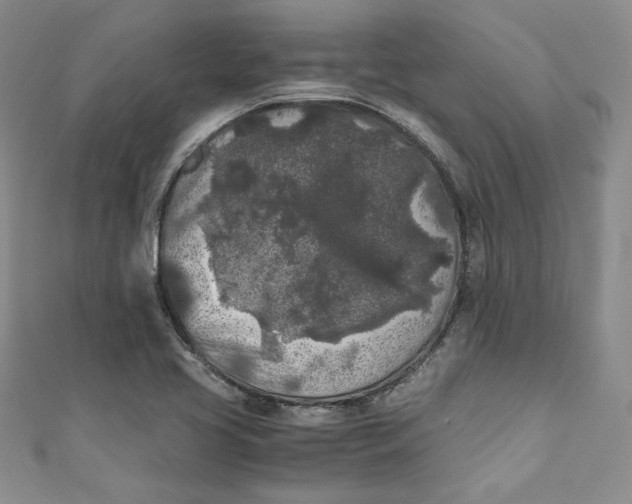 X0000111011413200907060946