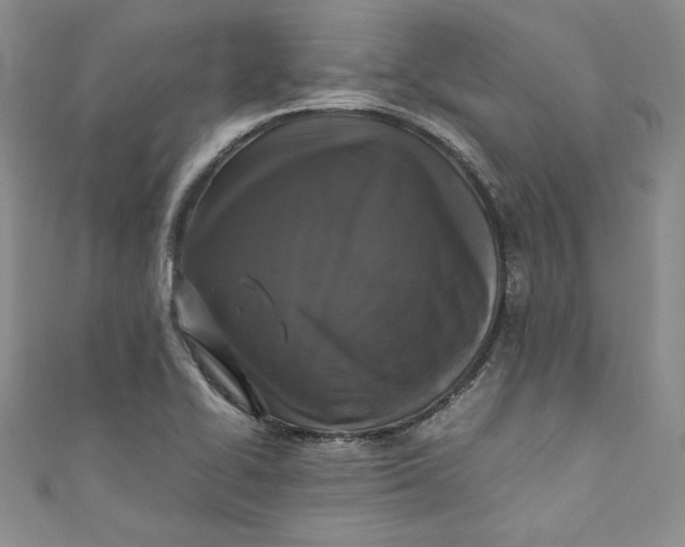 X0000111011414200907060946