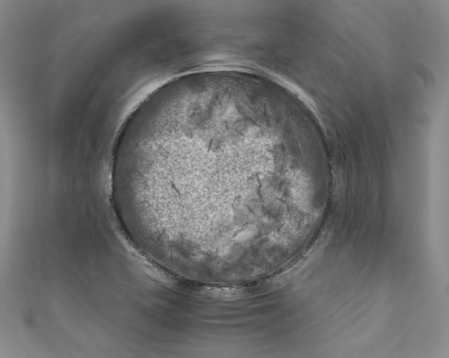 X0000111011415200907060946