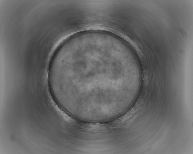 X0000111011416200907060946