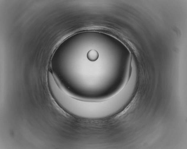 X0000111011417200907060946