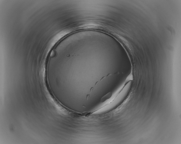 X0000111011418200907060946
