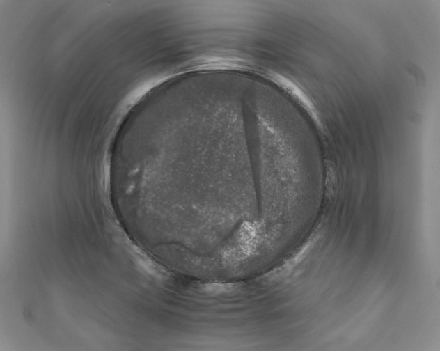 X0000111011419200907060946