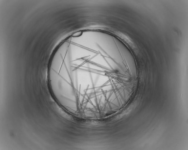 X0000111011420200907060946