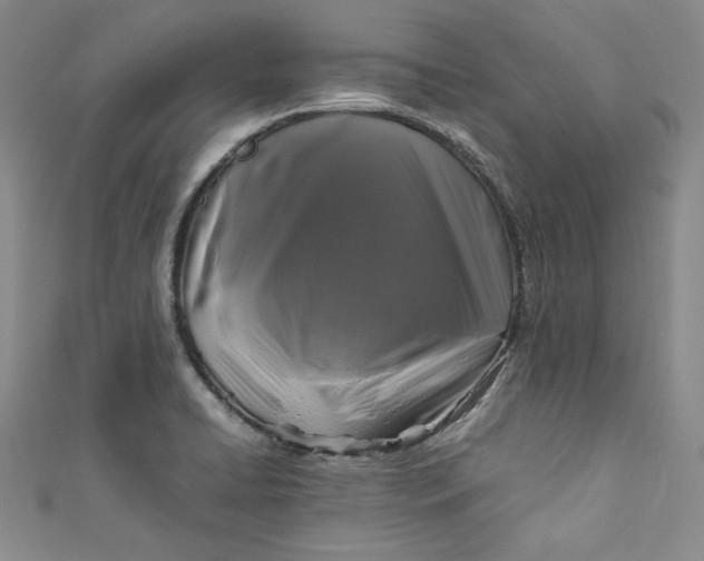 X0000111011422200907060946