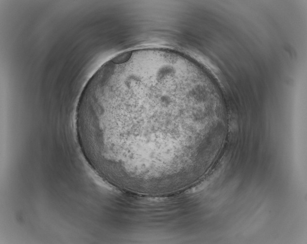 X0000111011423200907060946