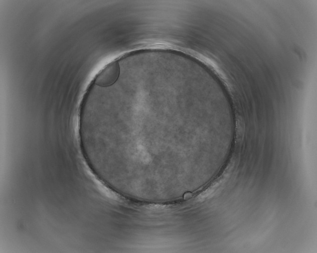 X0000111011424200907060946
