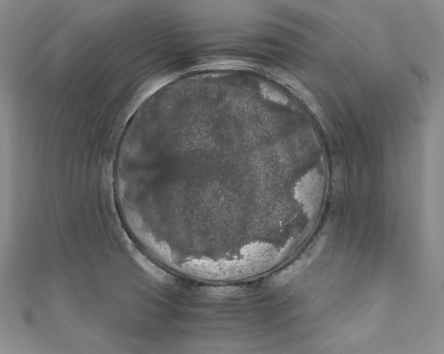 X0000111011425200907060946