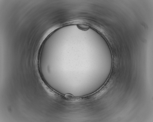 X0000111011426200907060946