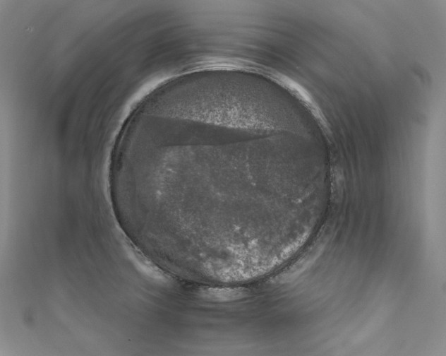 X0000111011427200907060946