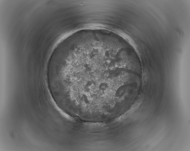 X0000111011429200907060946