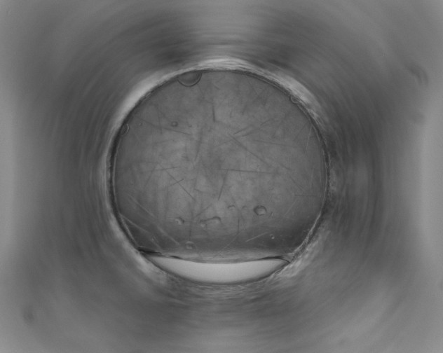X0000111011430200907060946