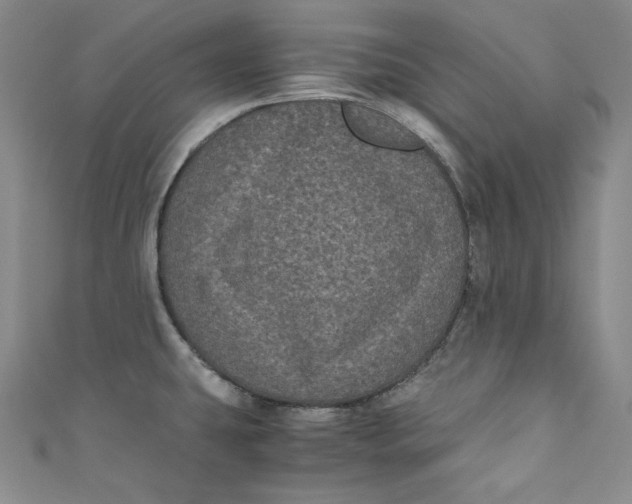 X0000111011431200907060946