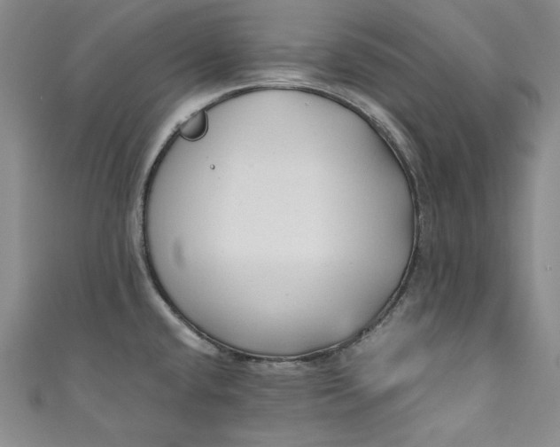 X0000111011432200907060946