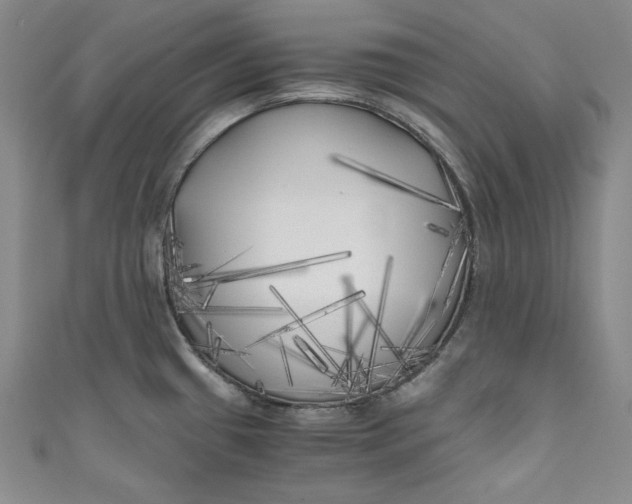 X0000111011433200907060946