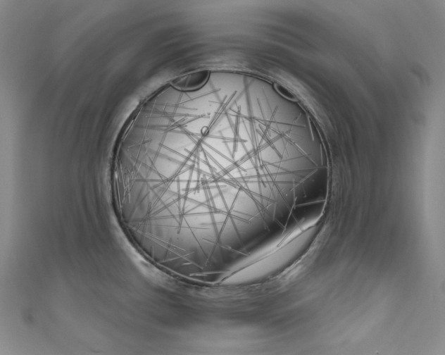 X0000111011434200907060946