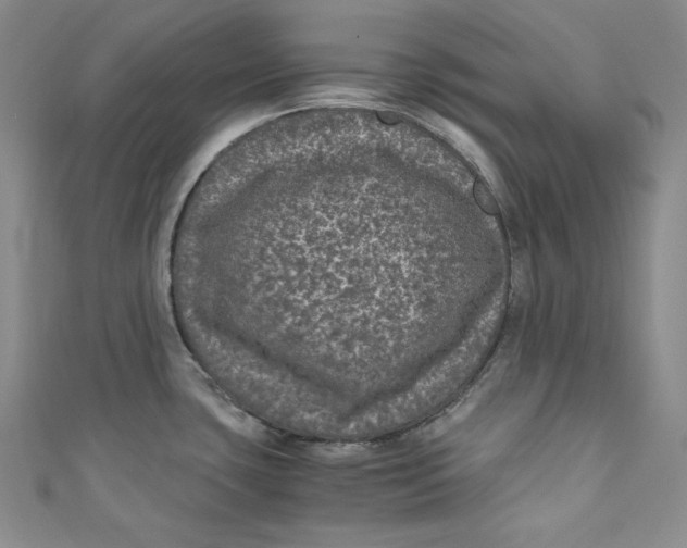 X0000111011435200907060946