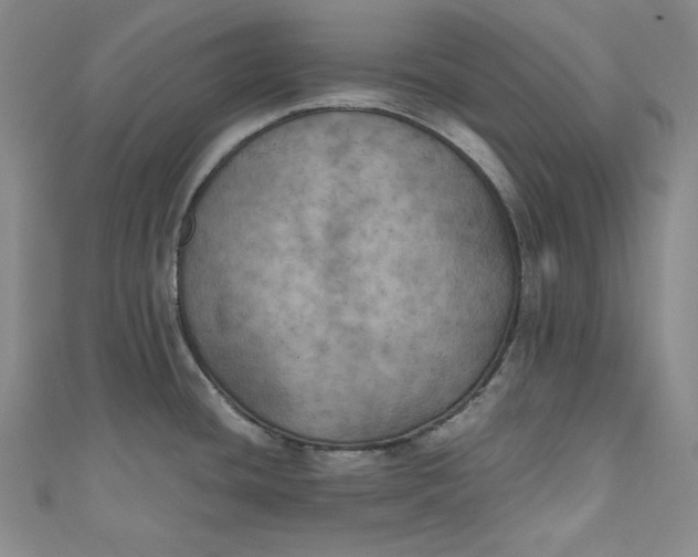 X0000111011436200907060946