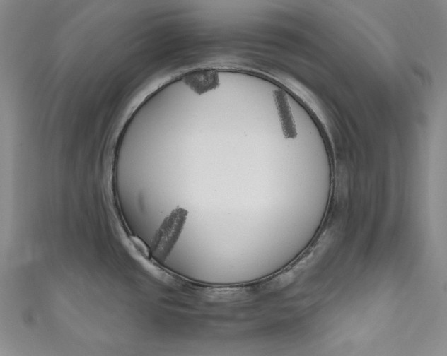 X0000111011437200907060946