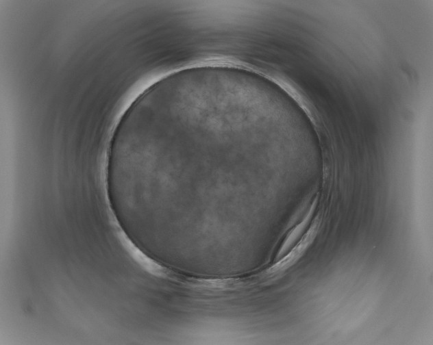 X0000111011438200907060946