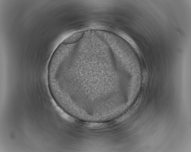 X0000111011439200907060946